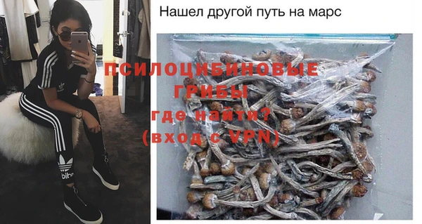 амф Алексеевка