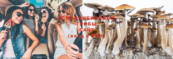 каннабис Абаза