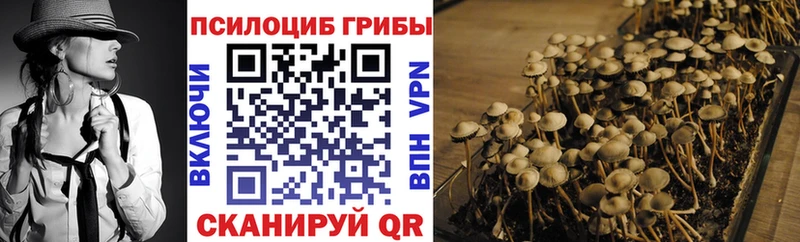Галлюциногенные грибы Magic Shrooms  Орёл 